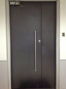 Дверь металлическая ДМ-2 #1