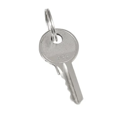 Ключ для замка (арт 18-16/38-ip31) EKF Proxima 20
