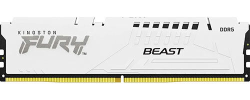 Оперативная память Kingston DDR5 16GB 6000MHz FURY Beast White (KF560C40BW-16)