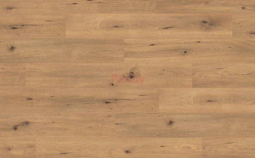 Ламинат Egger PRO Laminate Flooring Classic EPL182 Дикий дуб натуральный, 10мм/33кл/4v, РФ