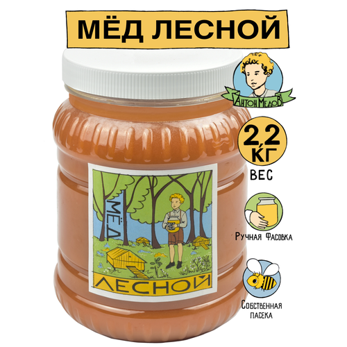 Мед натуральный лесной 2.2 кг Антон Медов/Правильное питание/Суперфуд/Веган продукт