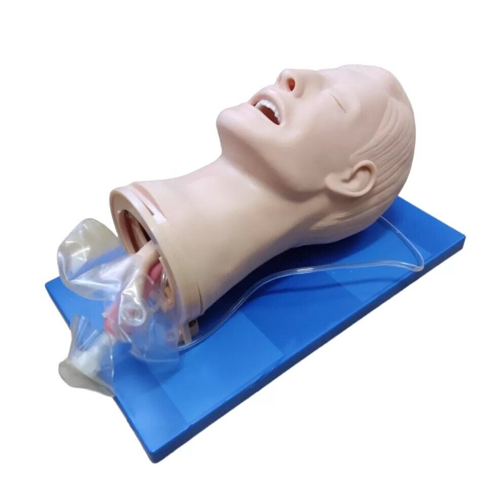 Модель многофункциональная дыхательных путей, 51
