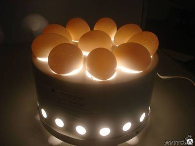 Овоскоп для контроля качества куринных яиц ОН-10