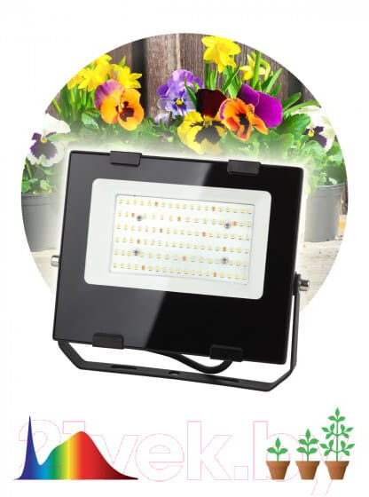 Лампа для растений ЭРА FITO-50W-Ra90-LED / Б0047875 7